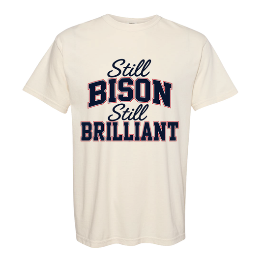 Howard Class of 2001 Still Bison Still Brilliant T-Shirt