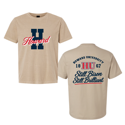 Howard Class of 2001 Still Bison Still Brilliant T-Shirt