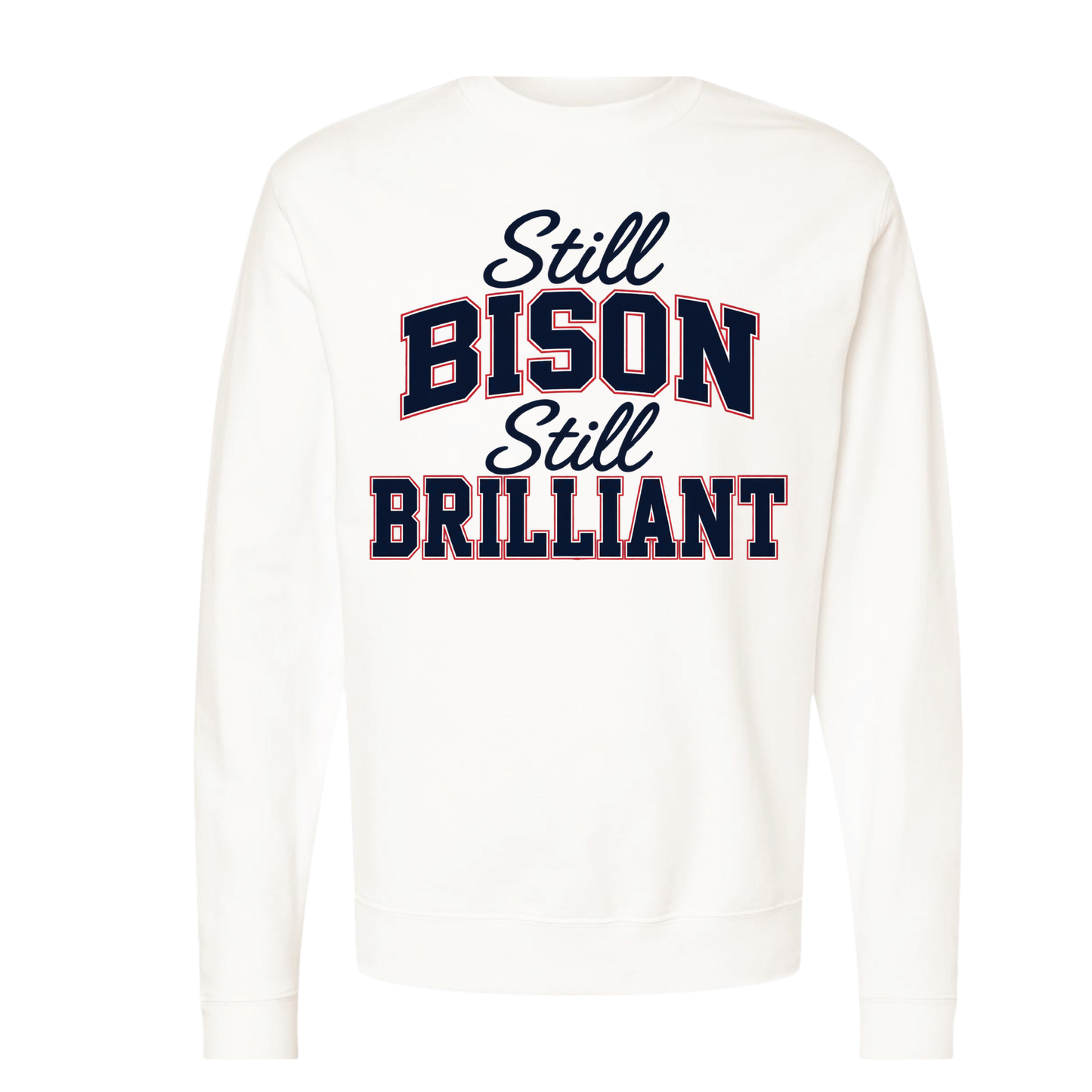Howard Class of 2001 Still Bison Still Brilliant Crewneck