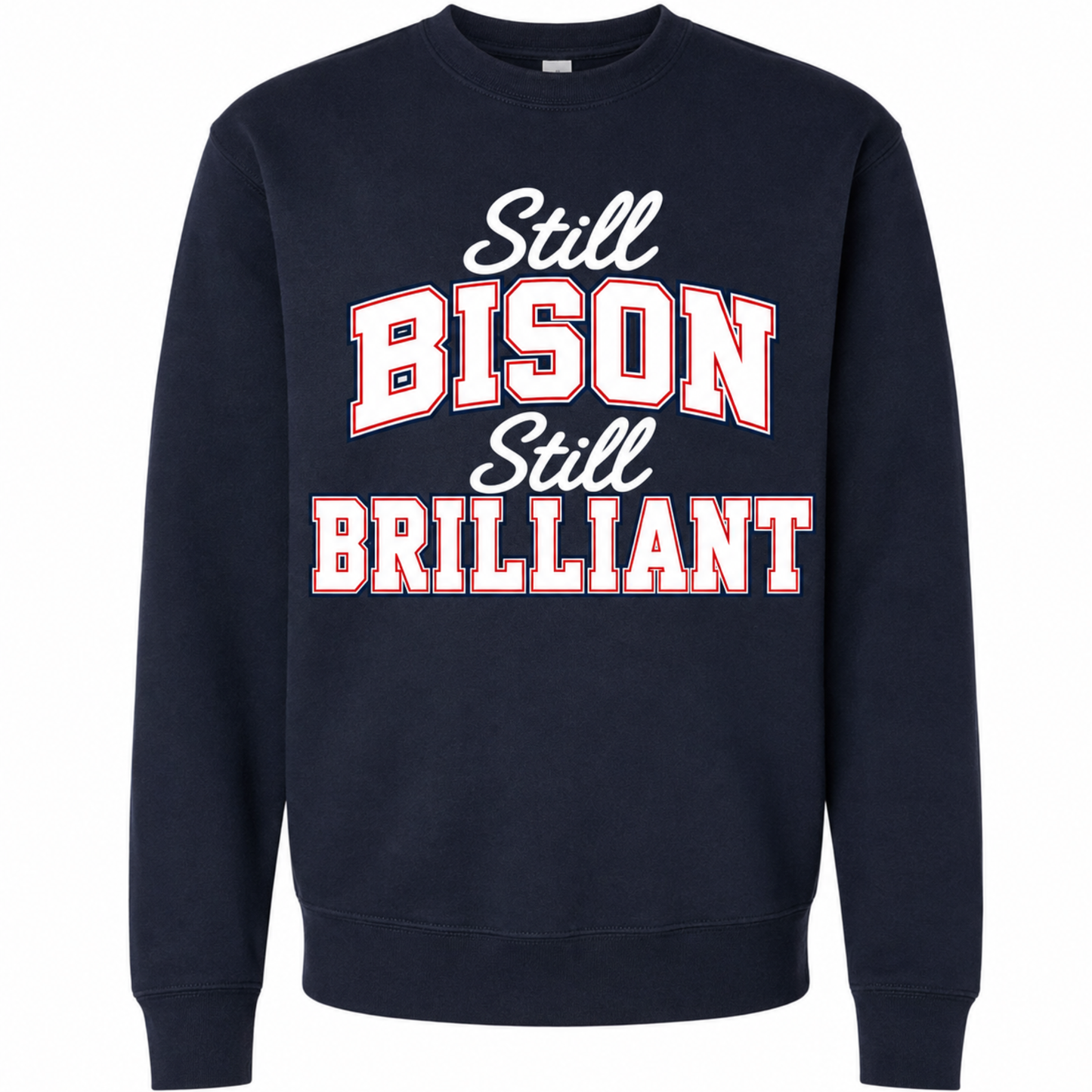 Howard Class of 2001 Still Bison Still Brilliant Crewneck