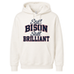 Howard Class of 2001 Still Bison Still Brilliant Hoodie
