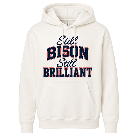 Howard Class of 2001 Still Bison Still Brilliant Hoodie