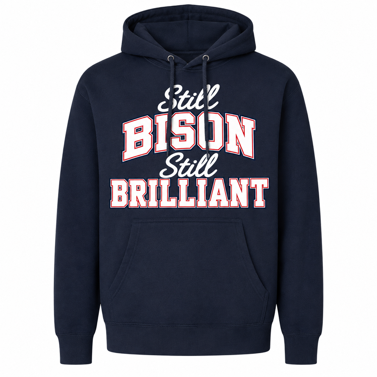 Howard Class of 2001 Still Bison Still Brilliant Hoodie
