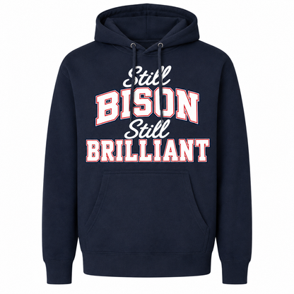 Howard Class of 2001 Still Bison Still Brilliant Hoodie