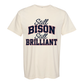 Howard Class of 2001 Still Bison Still Brilliant T-Shirt