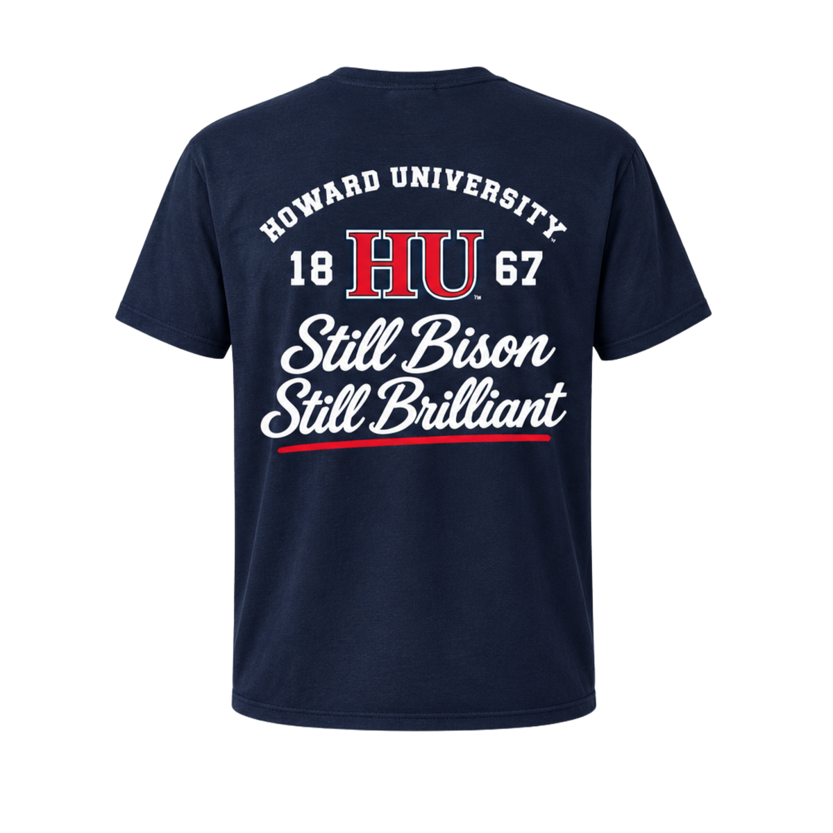 Howard Class of 2001 Still Bison Still Brilliant T-Shirt