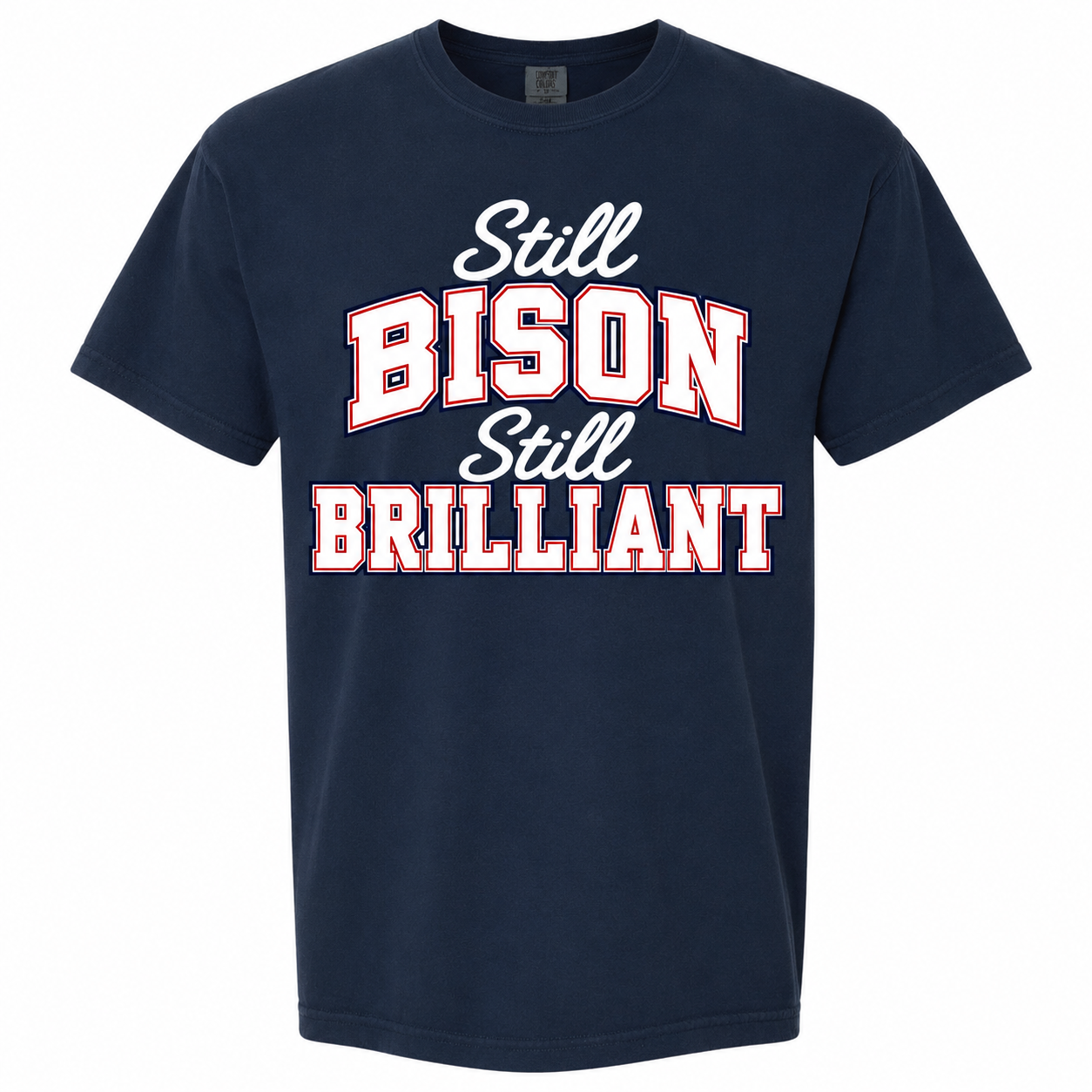 Howard Class of 2001 Still Bison Still Brilliant T-Shirt