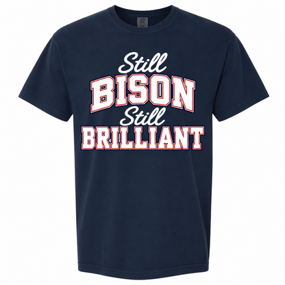 Howard Class of 2001 Still Bison Still Brilliant T-Shirt