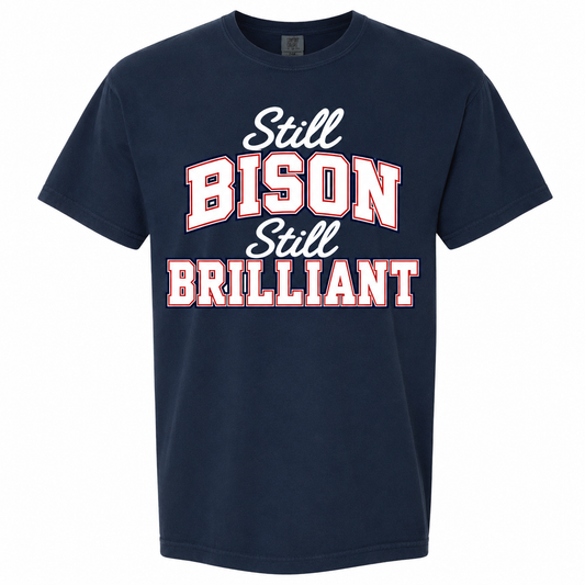 Howard Class of 2001 Still Bison Still Brilliant T-Shirt