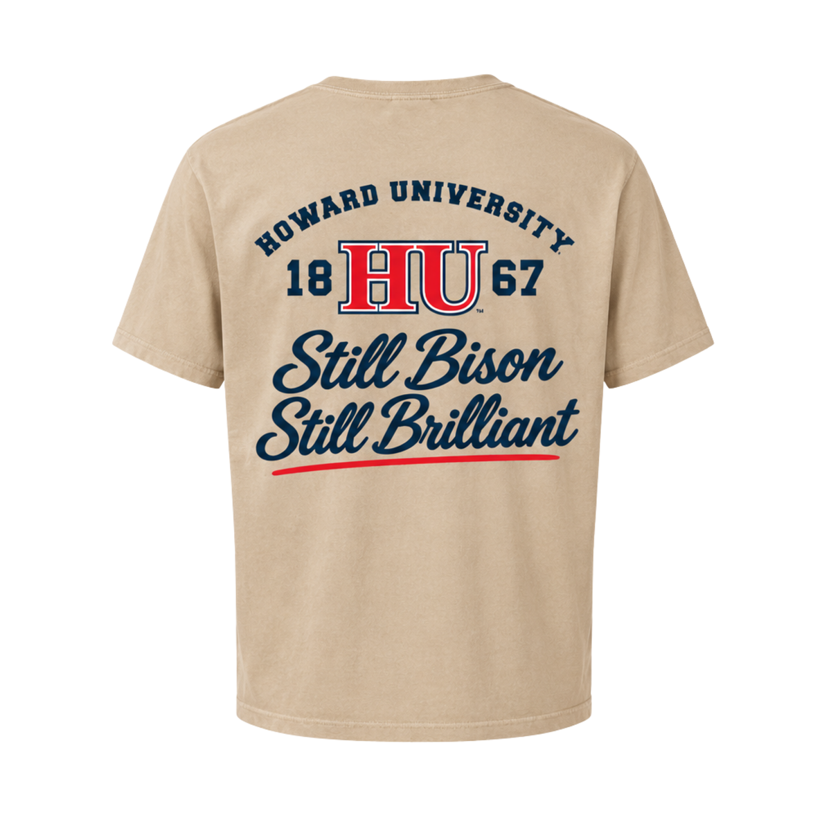 Howard Class of 2001 Still Bison Still Brilliant T-Shirt