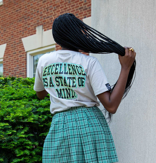 Excellence Is A State of Mind T-Shirt