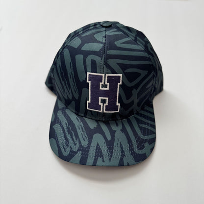 Forever HU05 Class Reunion Graffiti Dad Cap