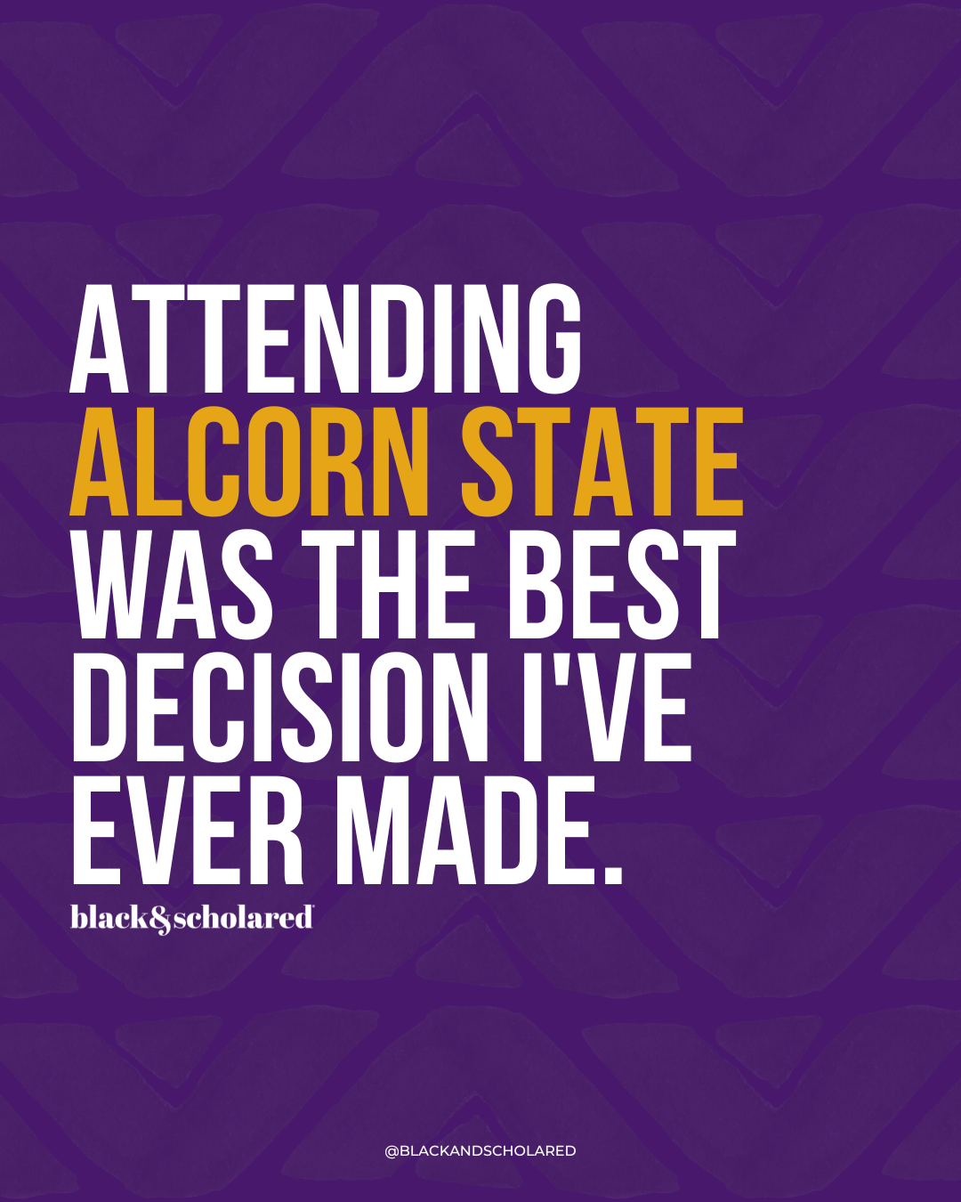 Attending My HBCU Was the Best Decision T-Shirt (Choose Your School) - LIST 3